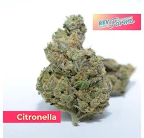 Citronella | 3.5g-1