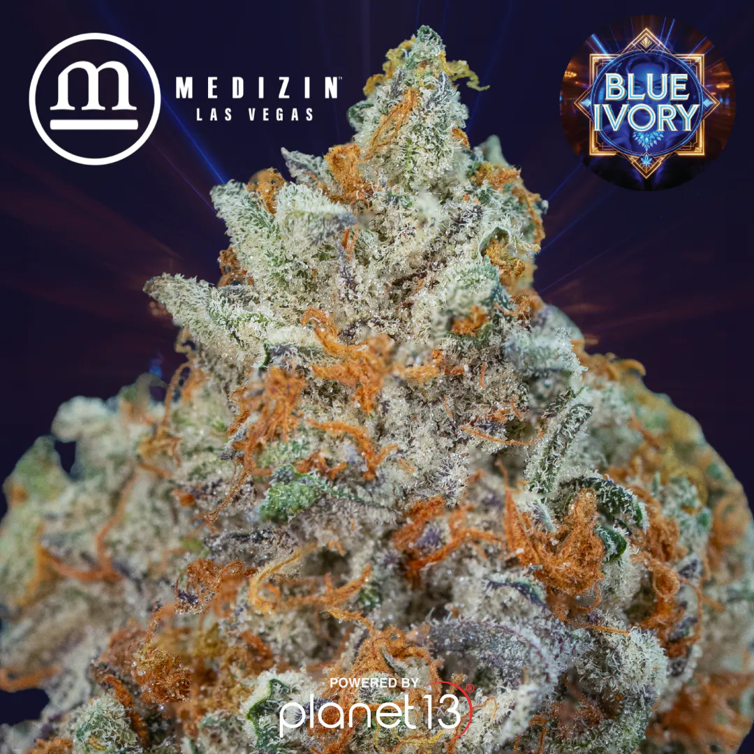 Medizin FRESH DROP Blue Ivory 3.5g Prepack | Planet 13 Las Vegas