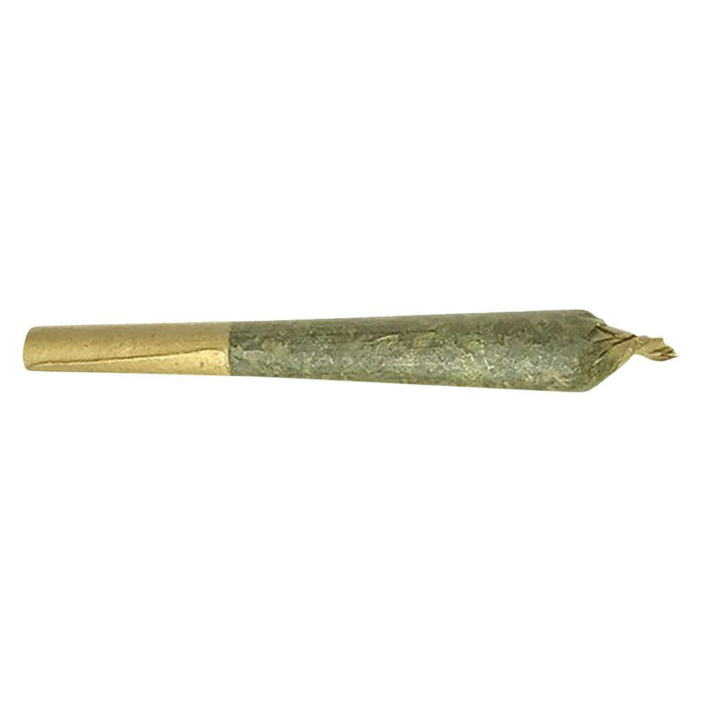 Fleur de L'Ile - Jack Herer Pre-Roll - Sativa - 7x0.5g | Cannabis 