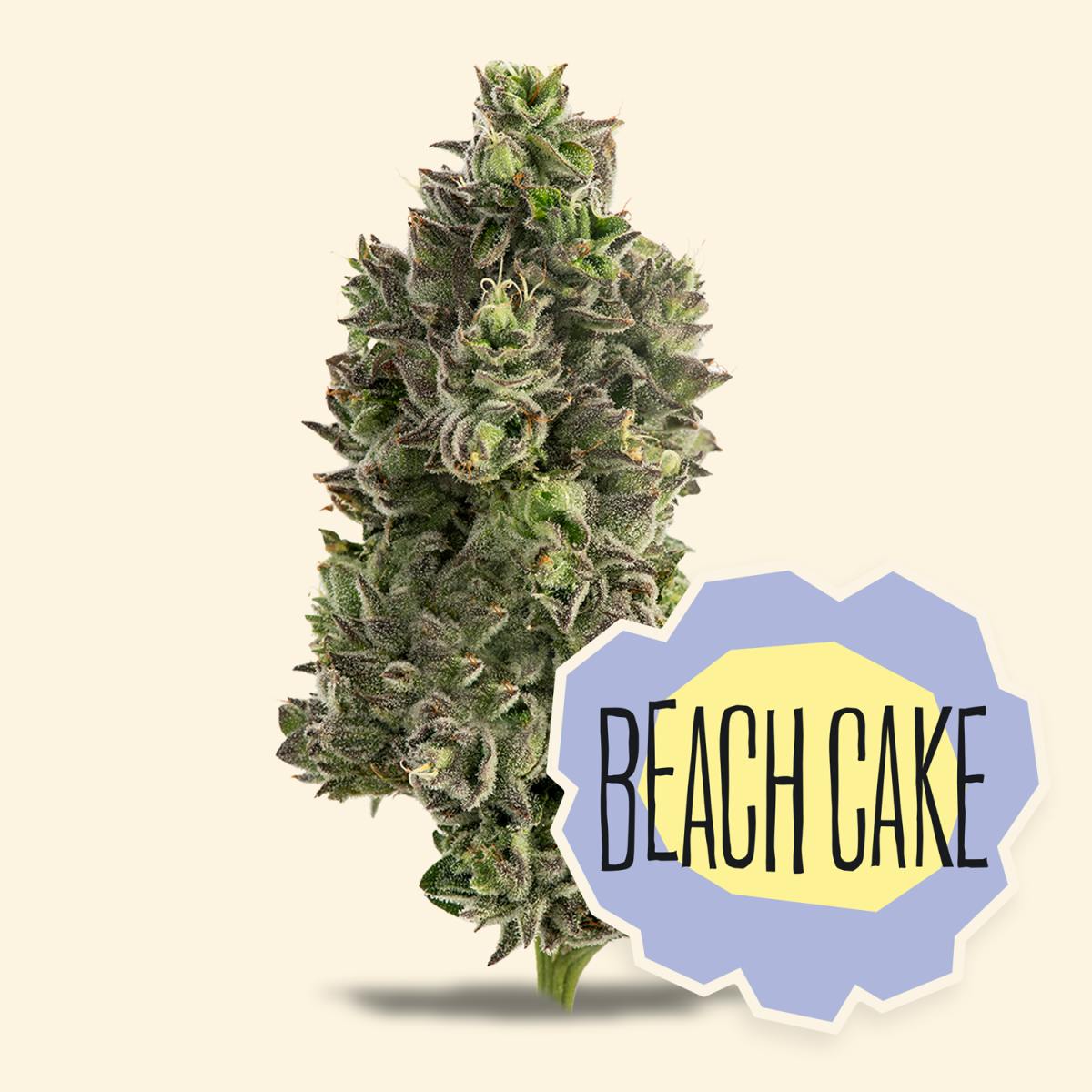 Beach Cake UNTRIMMED SMALLS