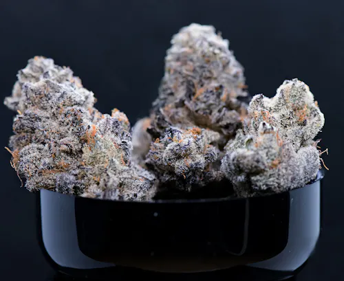 Noble Valley | Flower | JOMO 19 | 7g-1