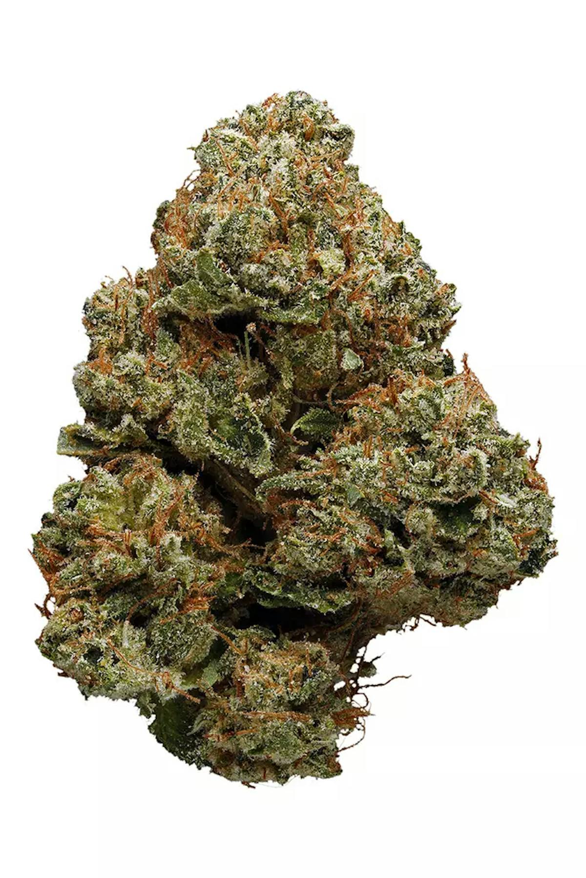 Image of Phantom | 3.5g Flower