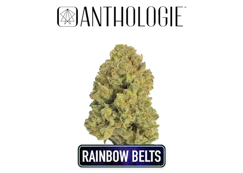 Anthologie Rainbow Belts 3.0 Single Pre-Roll-1