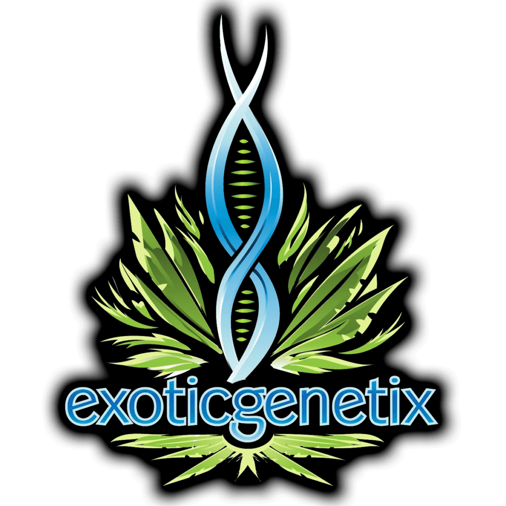 Product: EXOTIC GENETIX | TROPIC TRUFFLE - INFUSED PRE ROLL HYBRID