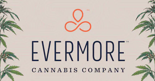 Evermore Sour Pink Lemonade Discos /400mg-active