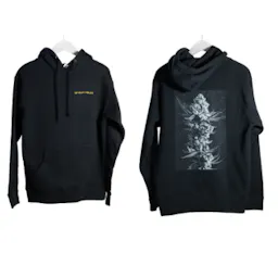 Apparel category image