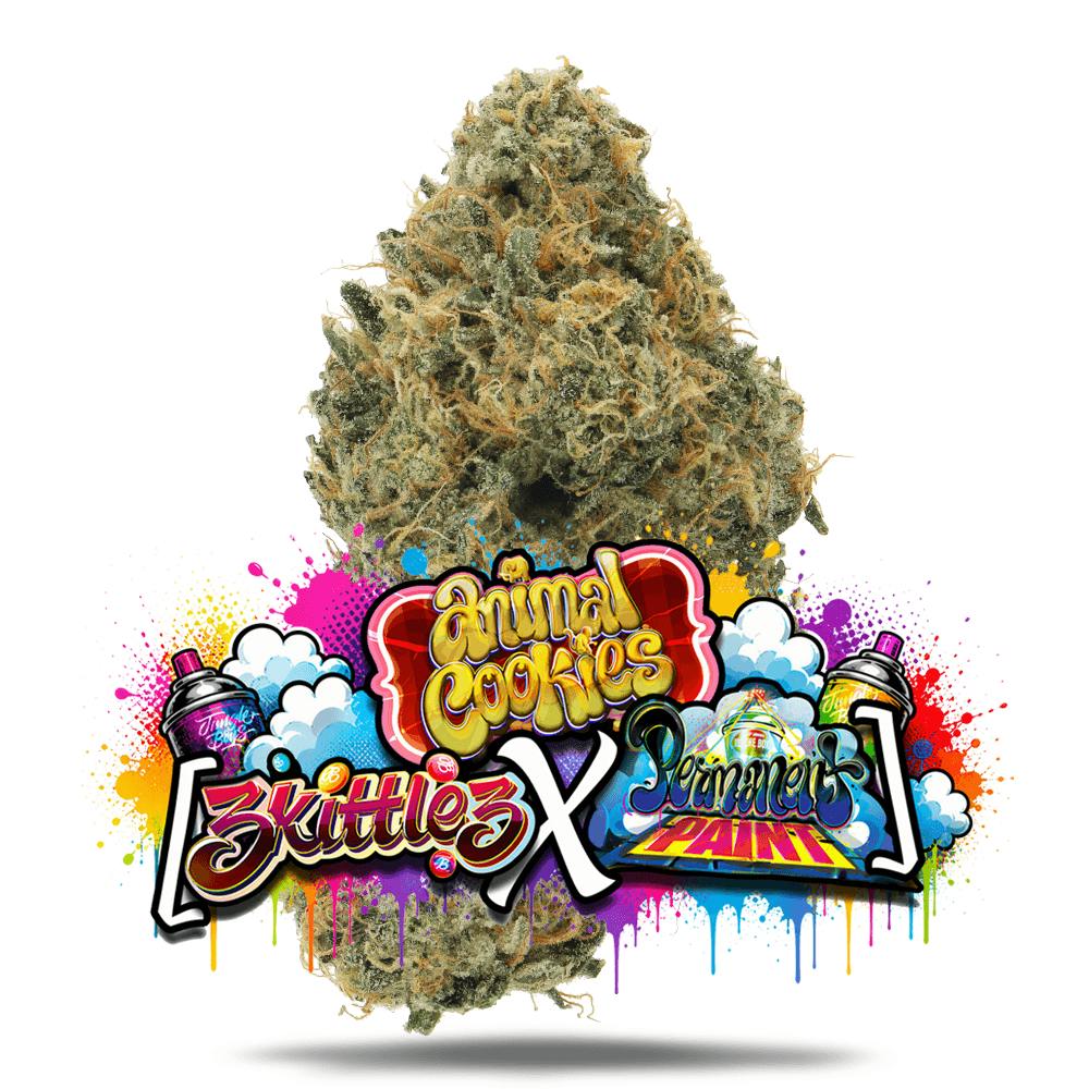 Animal Cookies x (Zkittlez x Permanent Paint) - Premium Flower