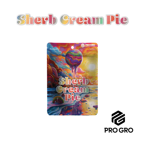 Sherb Cream Pie-active