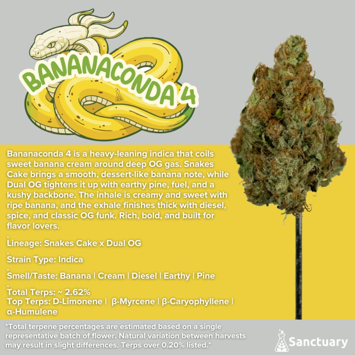 Sanctuary - Flower 3.5g - Bananaconda 4