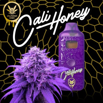 Cali Honey Purple Haze Glopod Disposable 2G