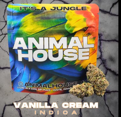 Flower | Animal House | Vanilla Cream