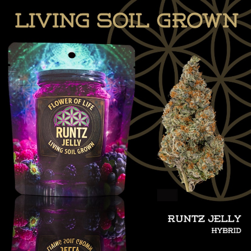 Flower Of Life Flower Runtz Jelly