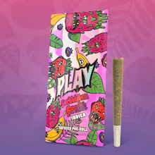 PLAY - 1.2g Infused Preroll - Forbidden Fruit