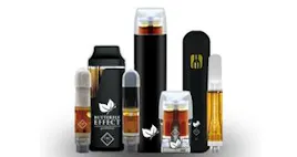 Vaporizers category image