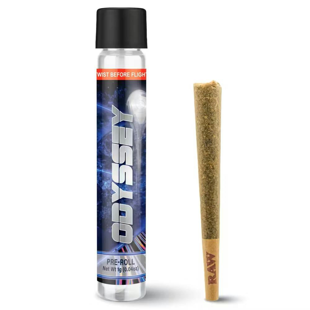 Odyssey ODYSSEY | PINE CHEESE | PRE ROLL | SATIVA — PRE_ROLLS
