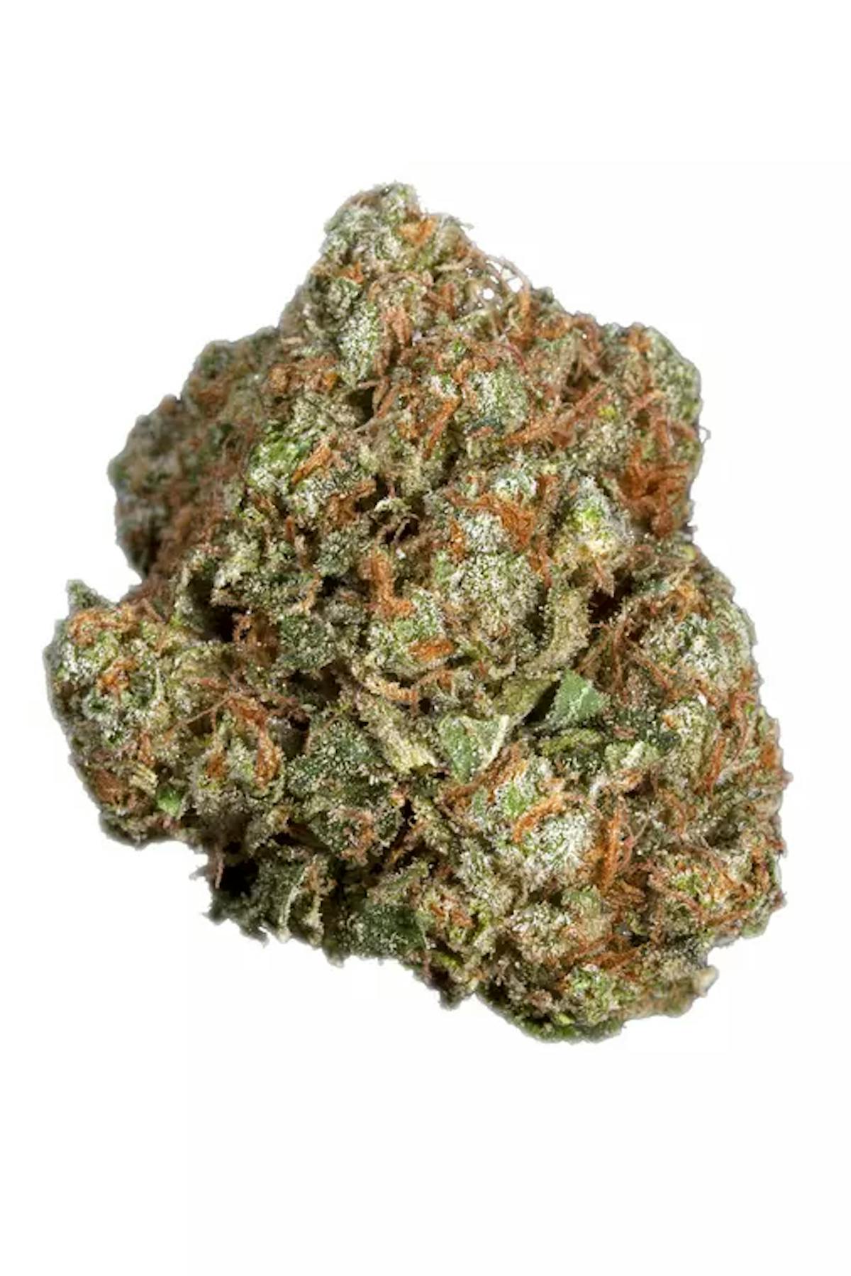 Image of Cookie Wreck Ready To Roll” House Flower
