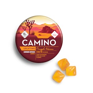 Camino | 10pk Pineapple Habanero | 10mg THC