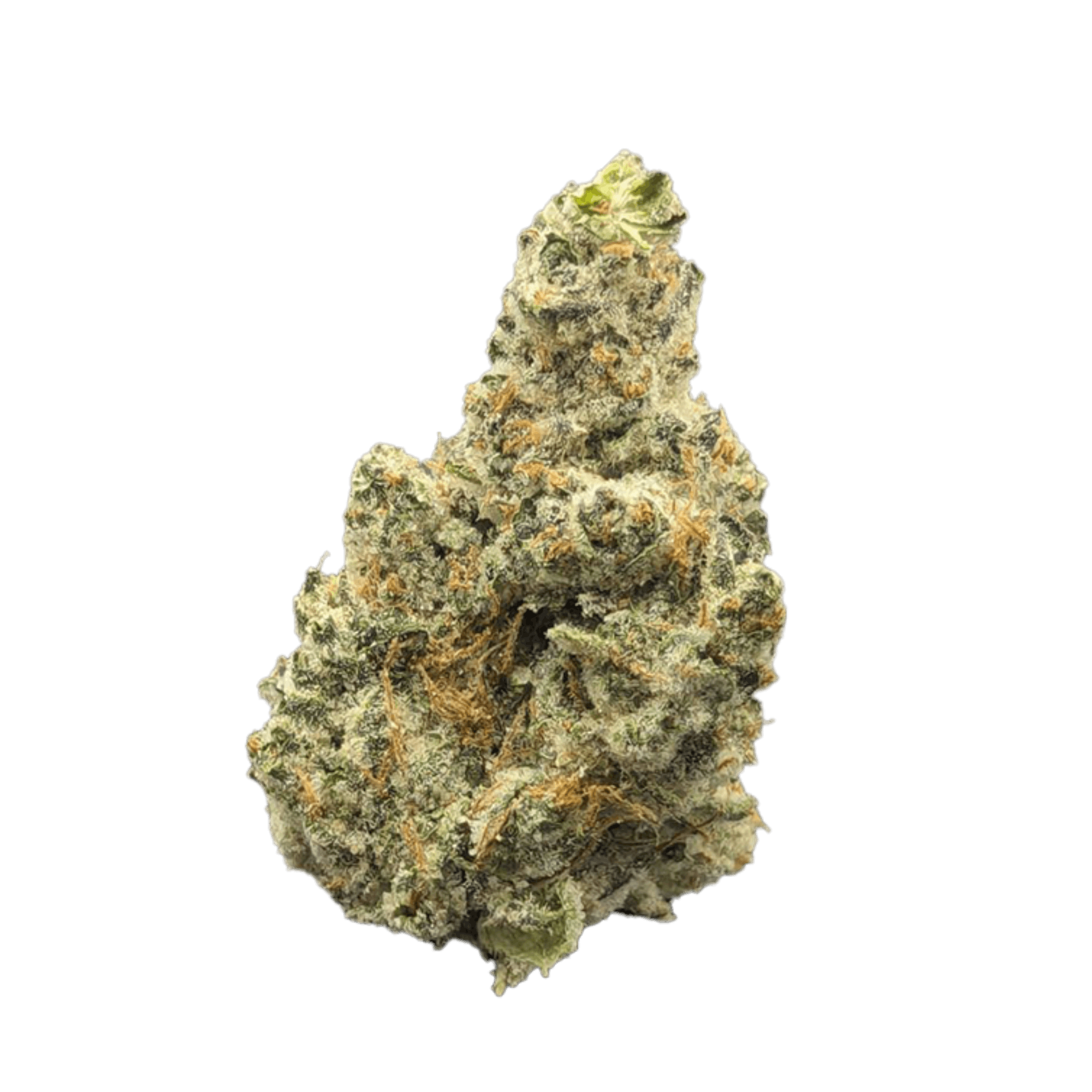 MPX Select Z Berries Flower | GrowHealthy