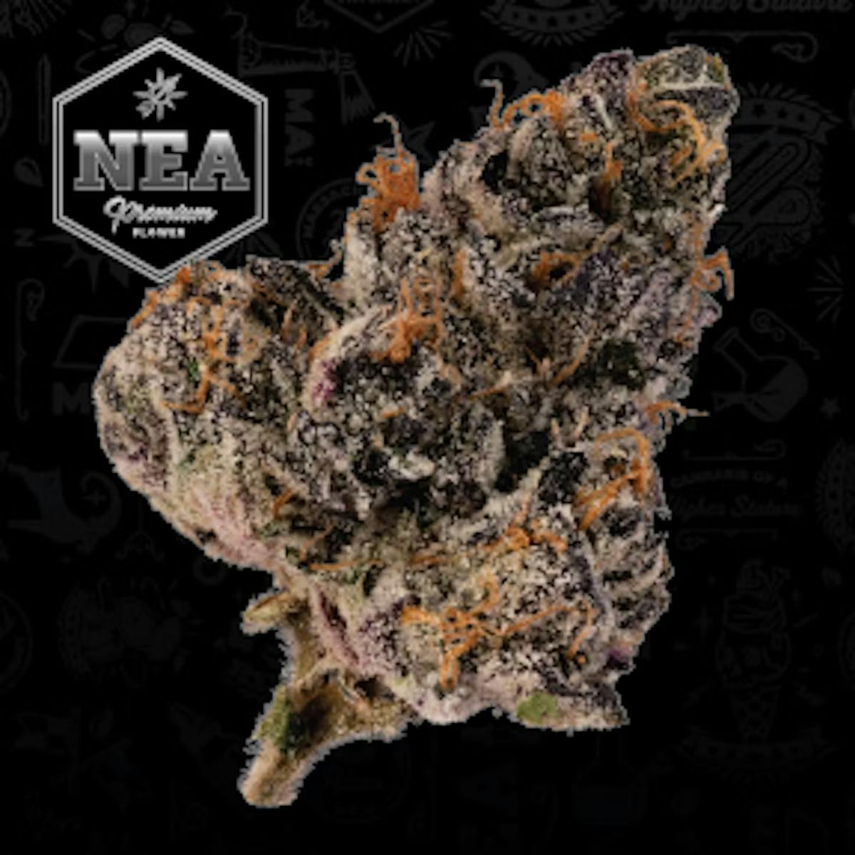 Photo of Quicksand PP 3.5 Northeast Alternatives