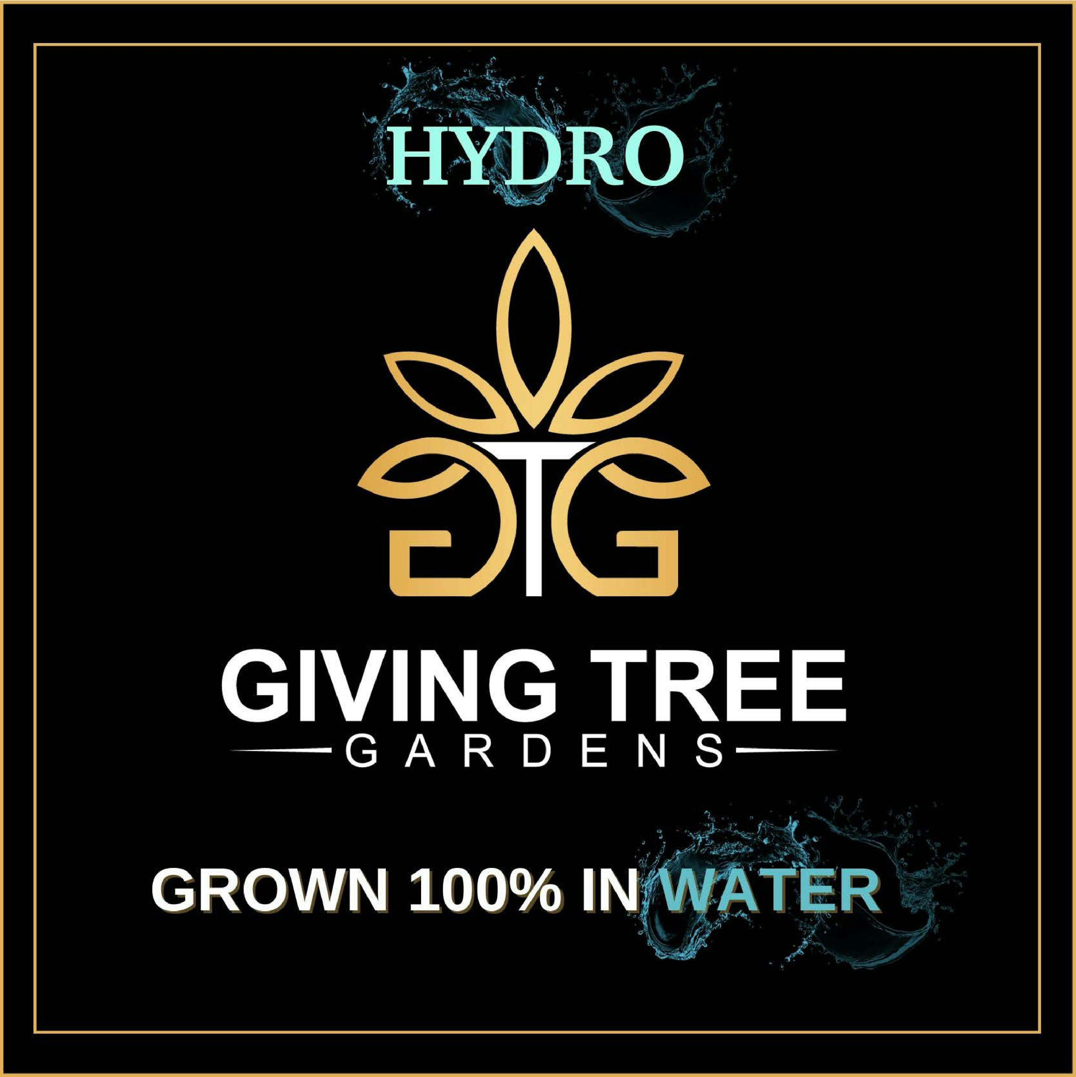 Image of GivingTree | Preroll Captain Krunch