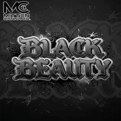 DELI - Mitten Canna - Black Beauty
