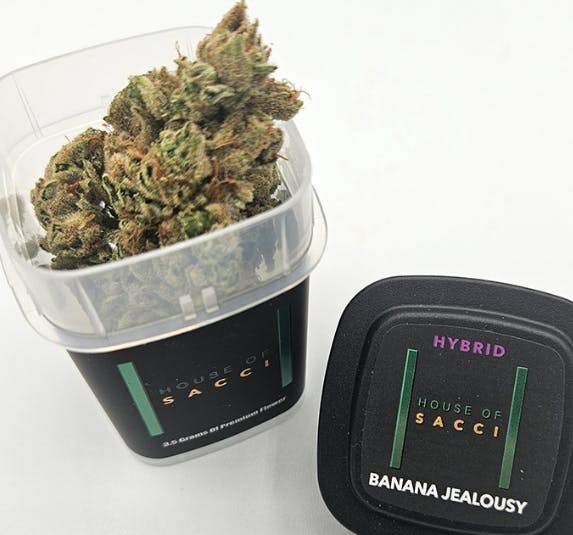 House of Sacci Flower | 3.5g | Banana Jealousy