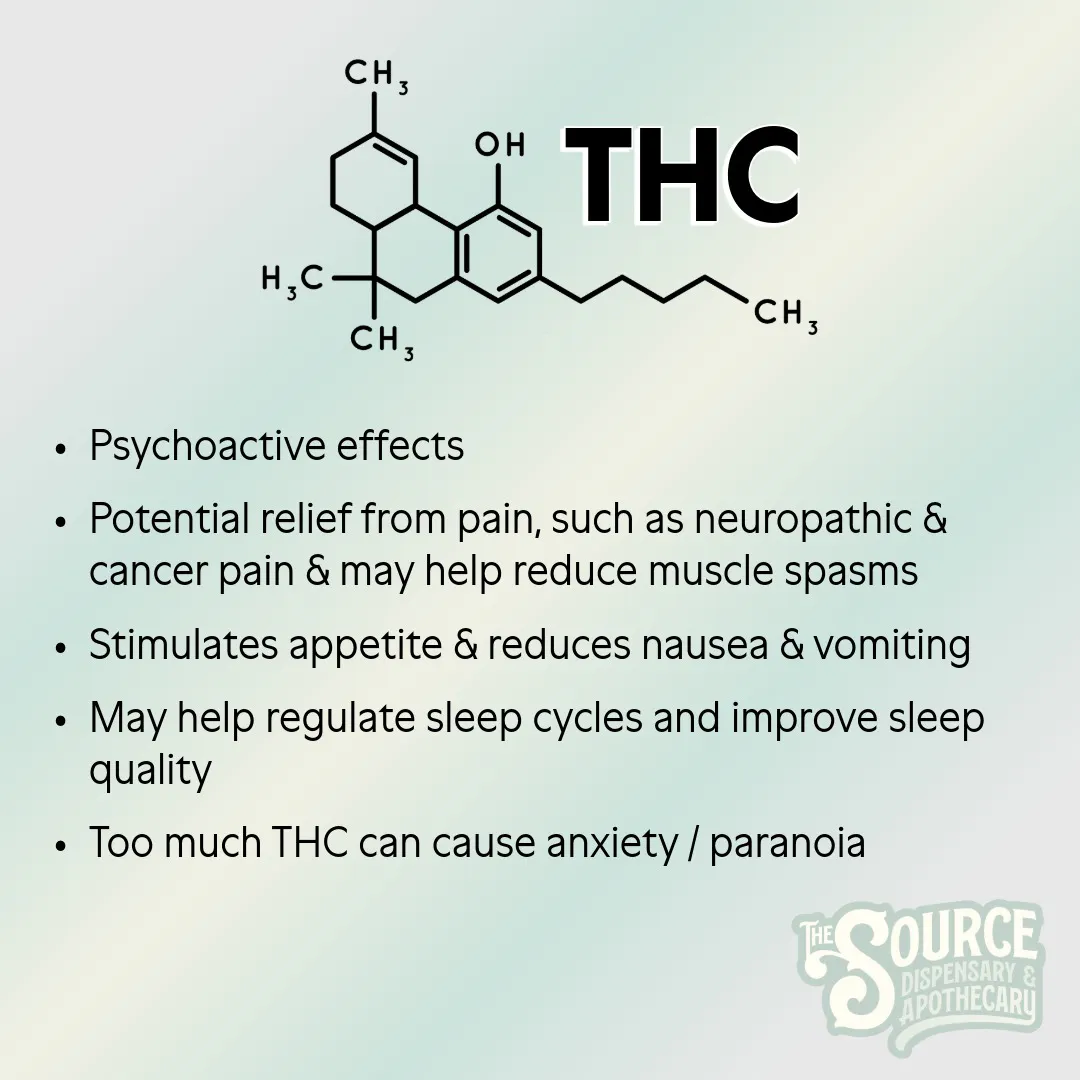 Space Cake CBC/CBD/CBG/CBN Enriched Gummies | 300mg at The Source