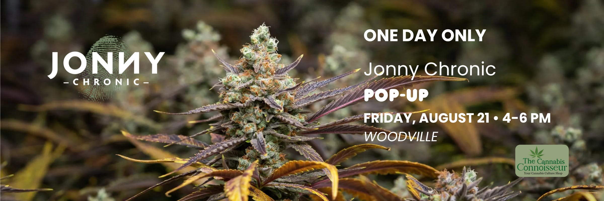 Jonny Chronic pop-up at The Cannabis Connoisseur in Woodville on Friday, August 21 from 4 to 6 PM.
