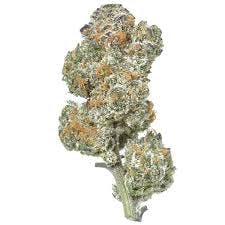 Product: Cloud Farms | Bulk Bud - Peach Pie