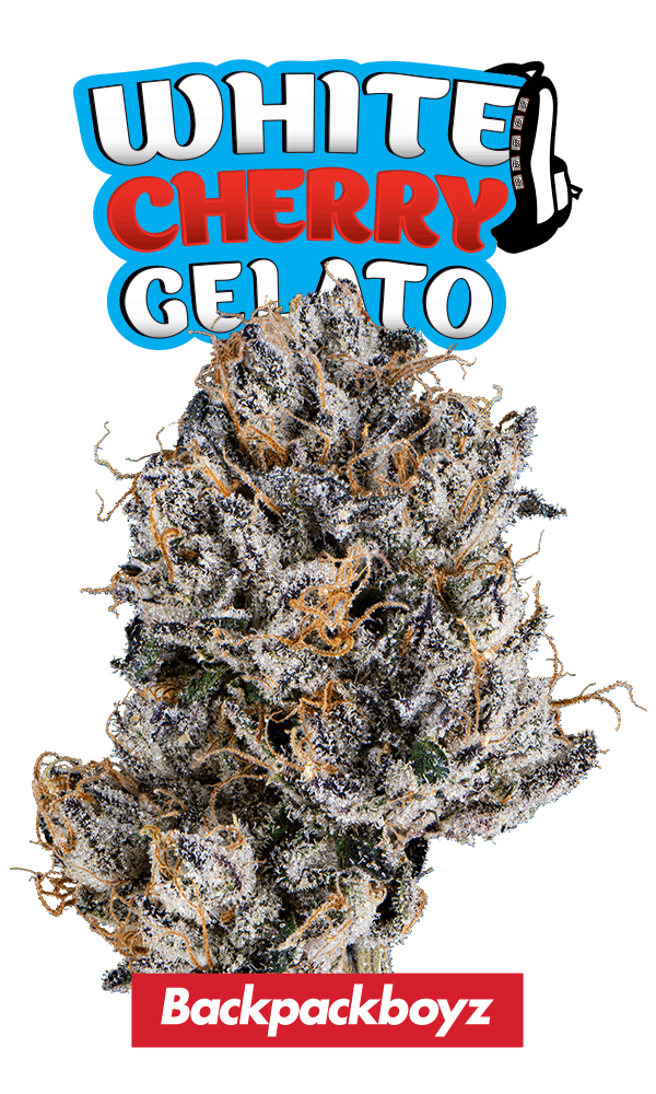 Back Pack Boyz cannabis brand