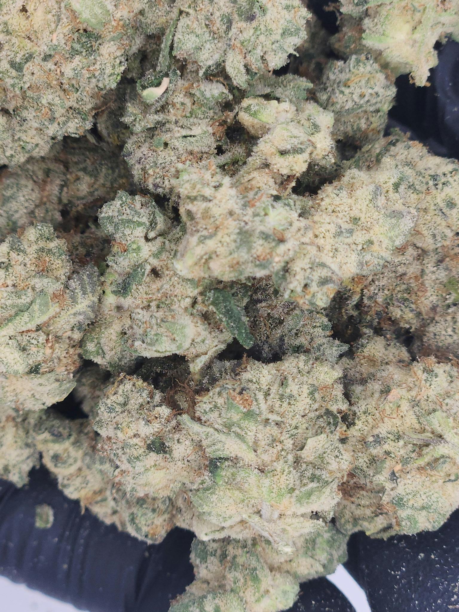 Highway Horticulture | Pre-Pack - 3.5g - Garlic Cocktail