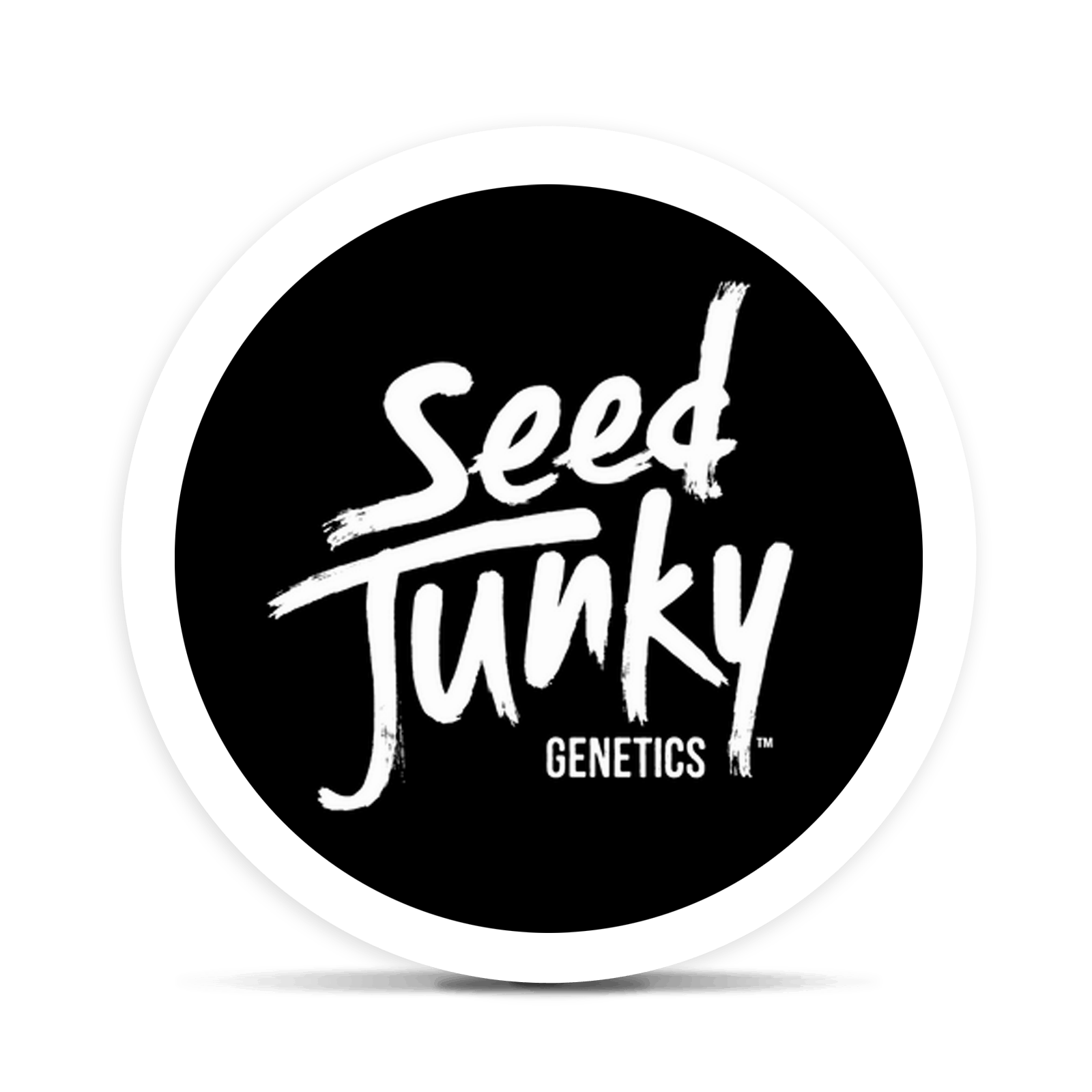 Product: SEED JUNKY | MANGO FRUZ | PRE-PACK HYBRID