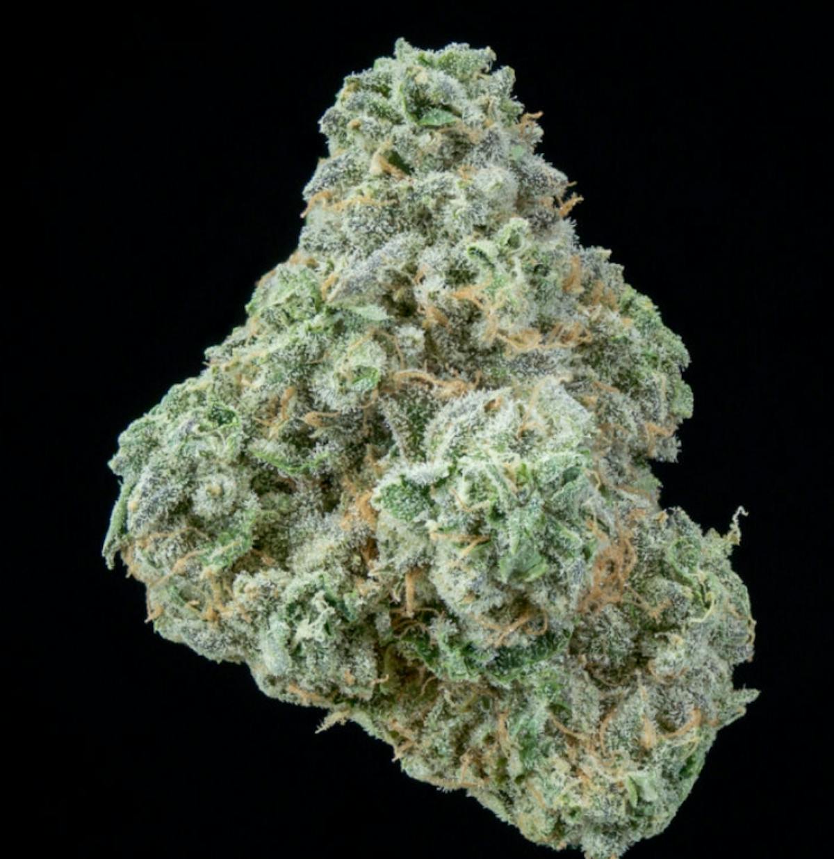 Photo of Rainbow Belts 3.0 3.5g Flower Bountiful Farms