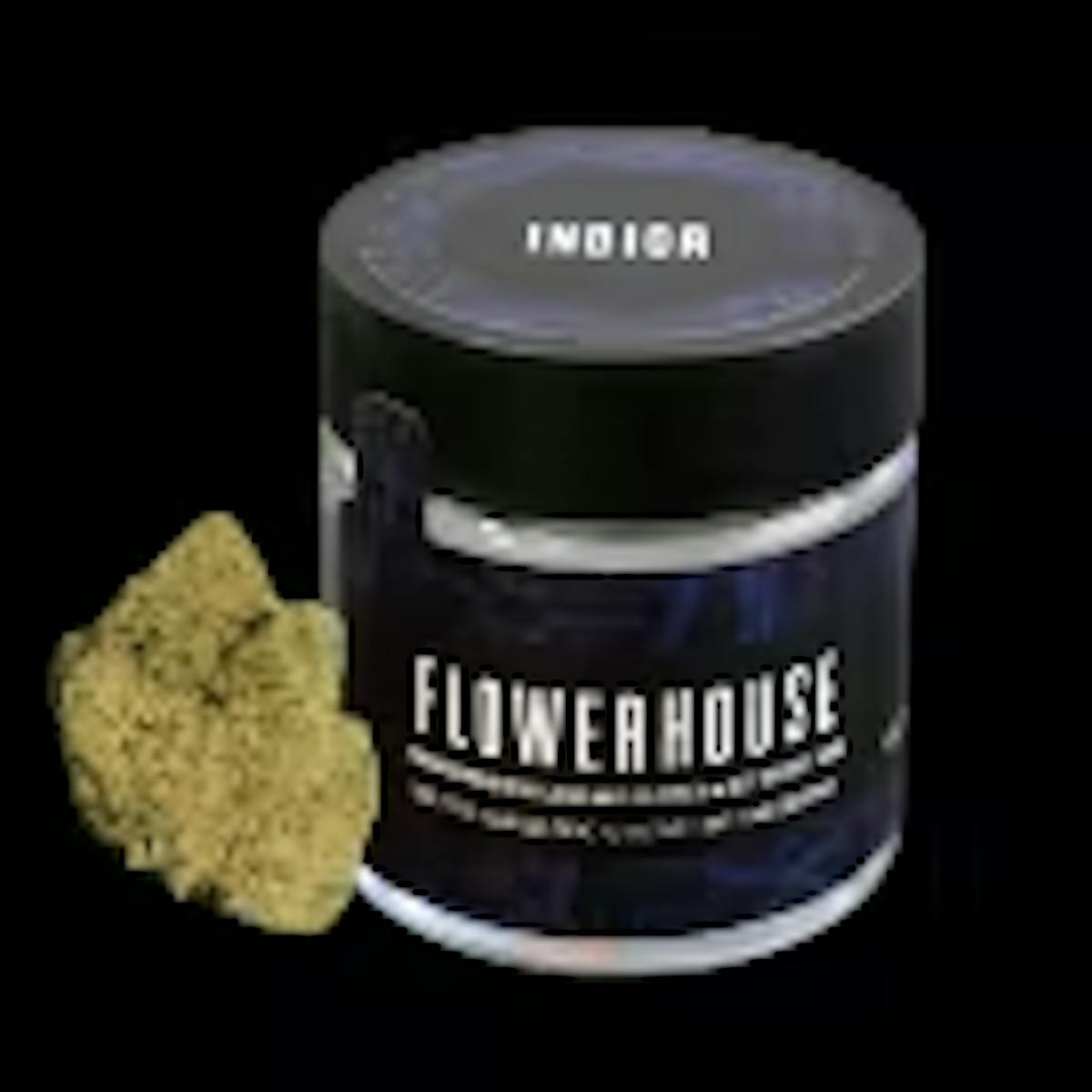 Image of Sunset Punch Flower
