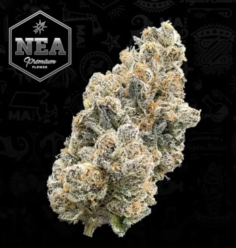 Product NEA Premium | Bufo | Flower