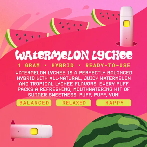 SNACKBAR  – Watermelon Lychee – Disposable 1g-1