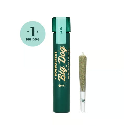 Product GTI Big Dog PreRoll - Graham Cracker (Sit) .75g