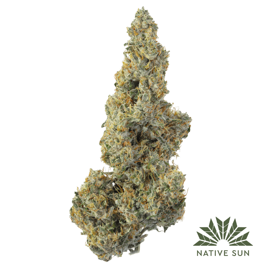 Native Sun Sour TK | Flower | 3.5g - Native Sun Cannabis Cannabis
