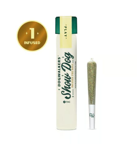 Product GTI Big Dogs Infused PreRoll - L'Orange (Play) 1g
