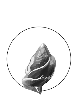 Concentrates category image