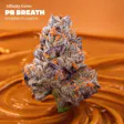 PB Breath
