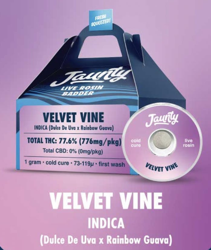 Concentrate | Jaunty | Live Rosin Cold Cure | Velvet Vine | 1g