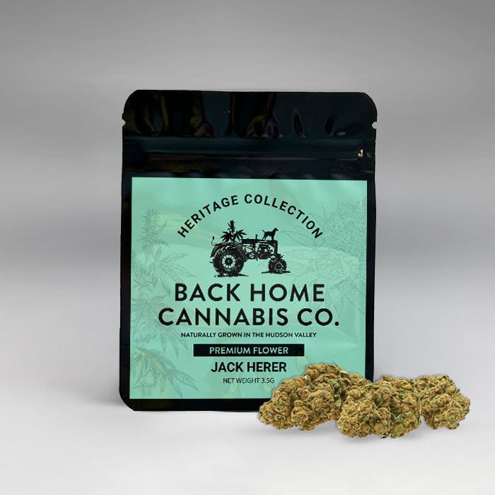 Back Home Cannabis Co. Back Home Cannabis | Jack Herer | 3.5g