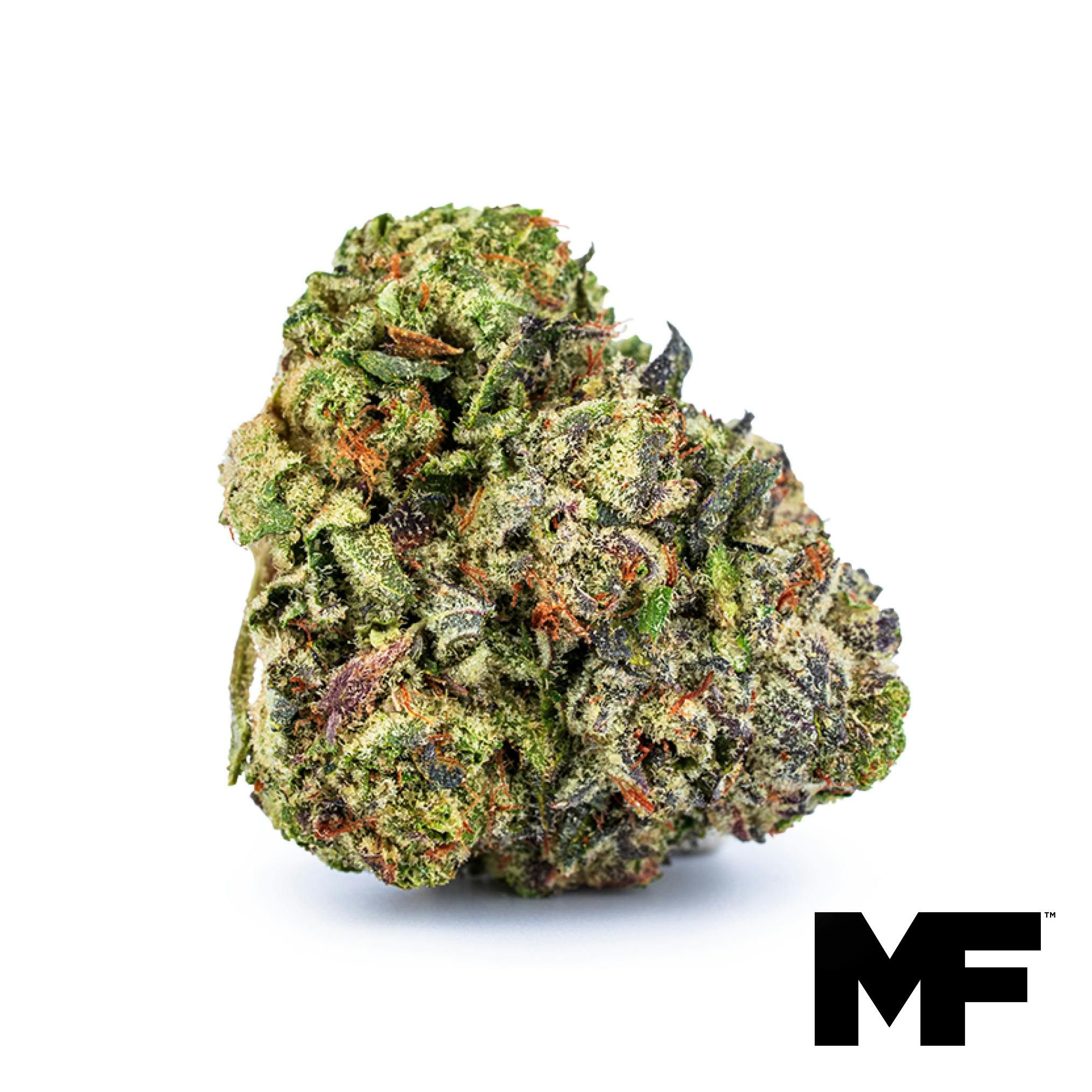 Jet Fuel