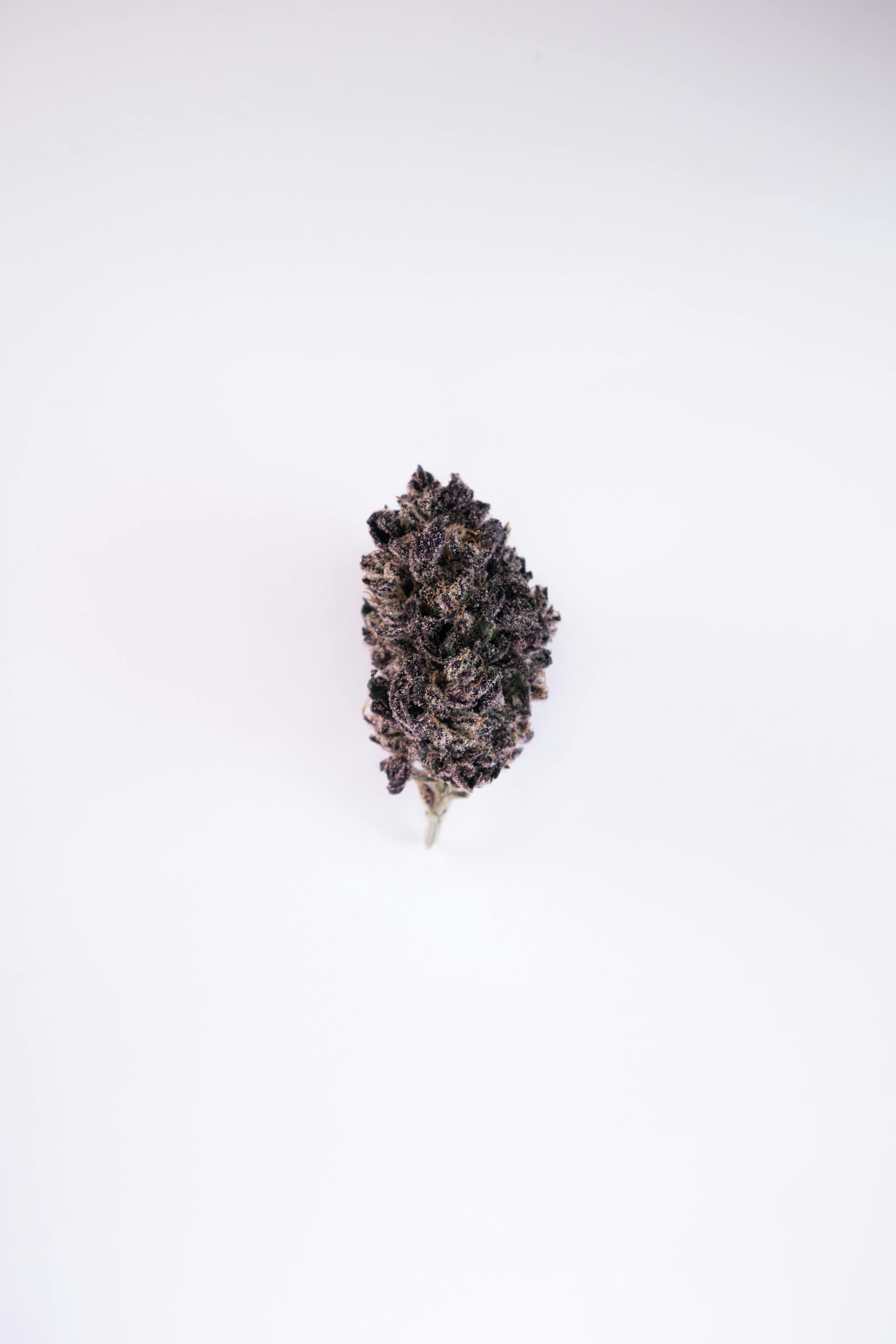 Photo of Devil’s Drip | 0.7g