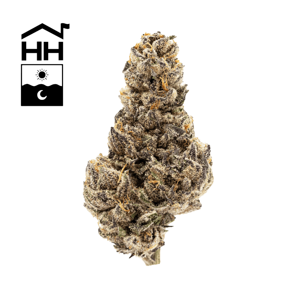 Product Jack's Dream | Flower | 3.5g