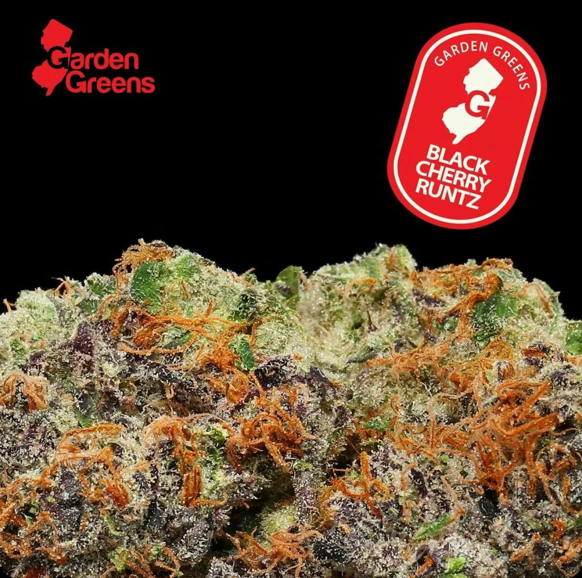 Photo of Garden Greens – Black Cherry Runtz Big Bud 7g