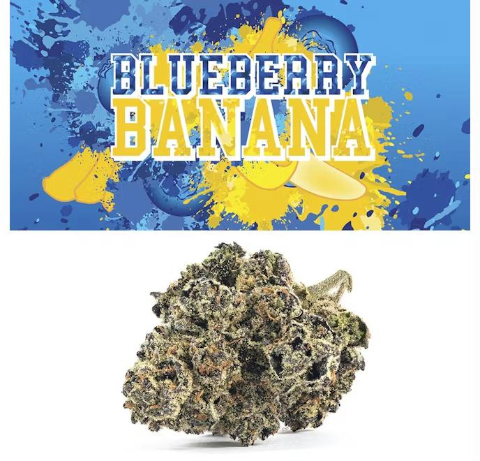 Cookies Blunt | Blueberry Banana