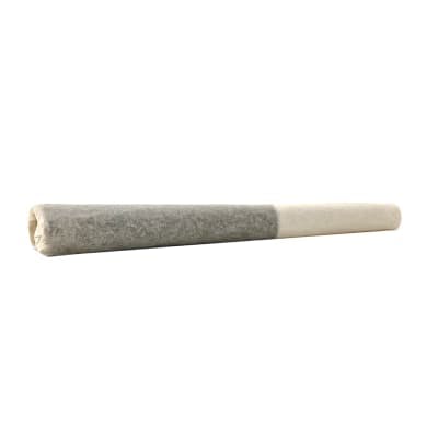 Iced Cream Infusion Infused Pre-Roll | 1x0.5g | Due North Cannabis 