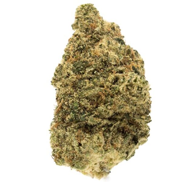 NF1 (SH) - 3.5g Flower - Standard Farms